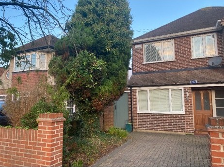 Before image for Garden Transformation