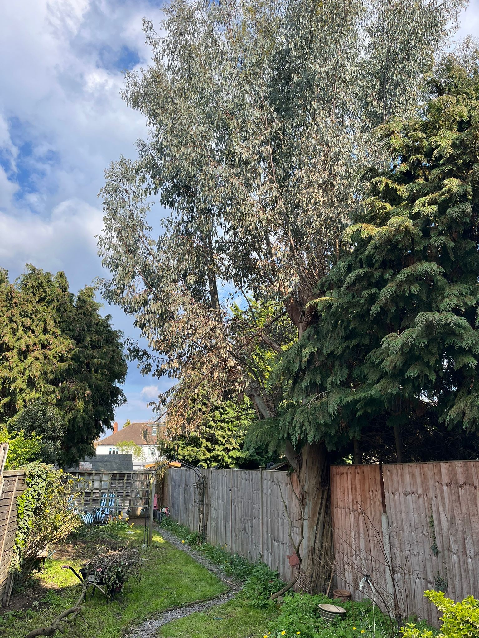 Before image for Garden Transformation & Cleanup