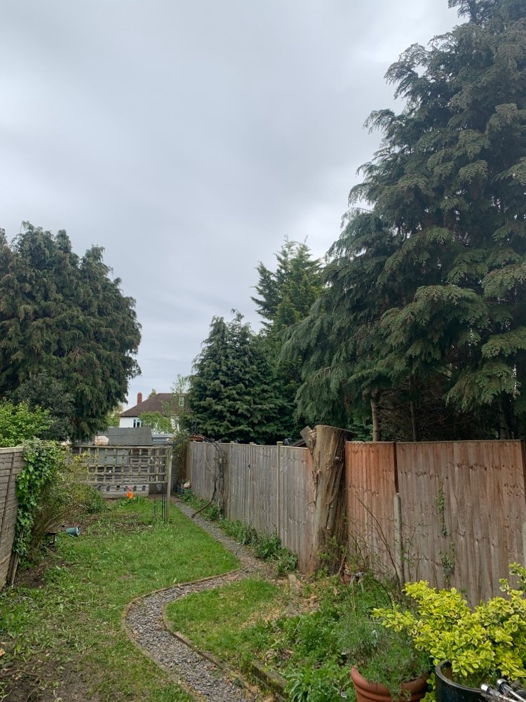 After image for Garden Transformation & Cleanup