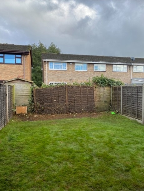 After image for Tree Pruning & Clearance