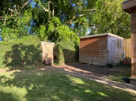 After image for Complete Garden Cleanup